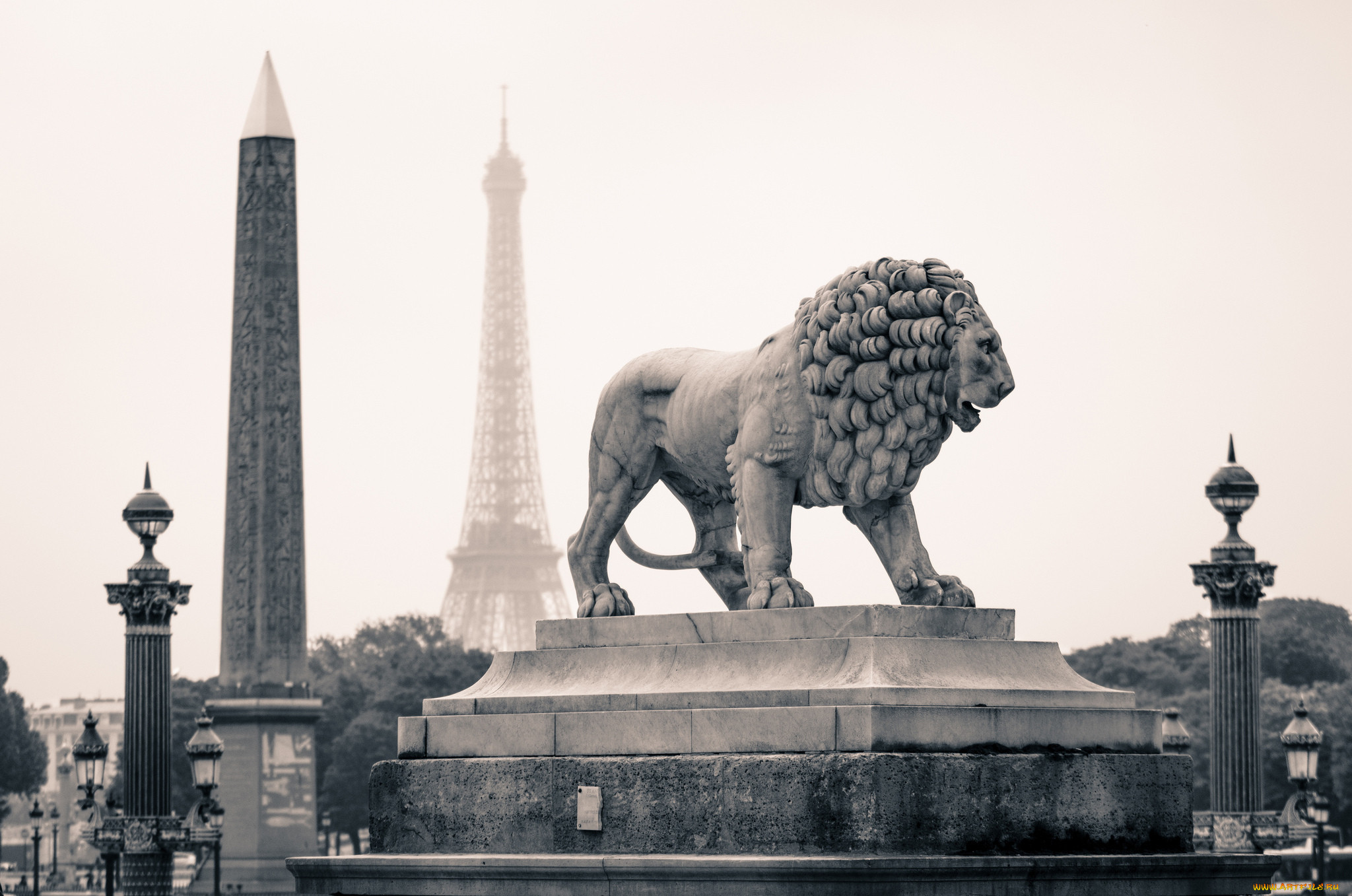 paris, france, , , , , 